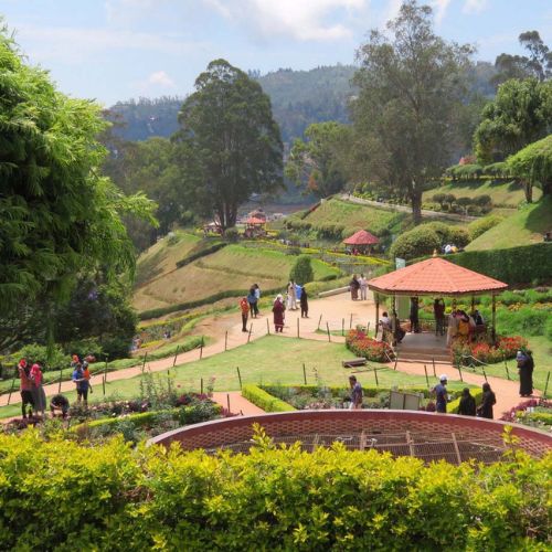 Ooty